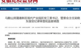 安徽新闻爆料,聚焦民生热点，揭示社会现象