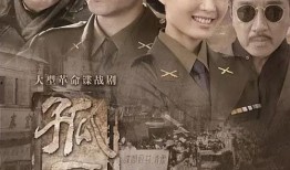 电视剧《孤雁》在线观看,逆境中展翅翱翔的青春传奇