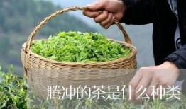 最新茶叶爆料新闻,神秘新品亮相，传统茶文化焕发新活力