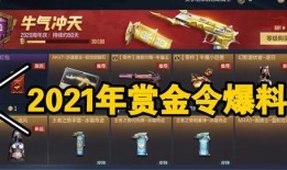 赏金令爆料视频,视频爆料背后的惊人真相