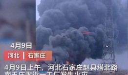 爆料广东黑厂事件视频大全,视频大全曝光惊人内幕