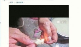 肉松饼爆料视频播放,揭秘网红美食背后的制作过程