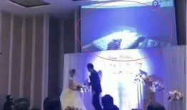 婚礼现场视频爆料,浪漫瞬间与温馨时刻大盘点
