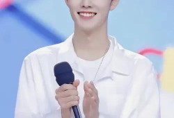 肖战明星八卦爆料视频,揭秘幕后真相与幕后黑手