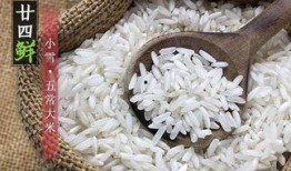 飞哥爆料大米视频,大米视频背后的惊人真相