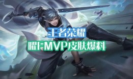 最新王者fmvp爆料,揭秘最新FMVP选手背后的传奇故事