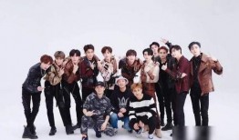 刘亚津二人爆料视频大全,揭秘娱乐圈不为人知的一面