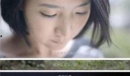 金大武前妻爆料视频播放,揭秘婚姻内幕与情感纠葛