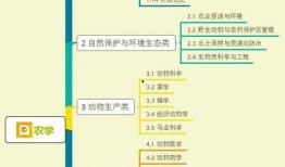 七仔粉丝爆料视频大全集,揭秘幕后故事与精彩瞬间