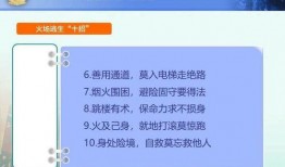 网友爆料教程图片视频下载,教程图片视频下载全攻略