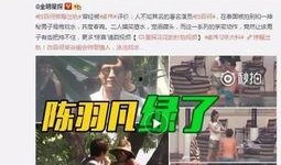 卓伟爆料陈凯威视频,揭秘娱乐圈背后的惊人真相