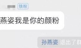 孙燕姿直播爆料视频,独家爆料幕后故事