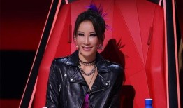 谁爆料李玟录音了视频,真相背后引发热议