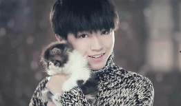 程潇许凯恋情爆料最新视频,甜蜜互动引网友热议