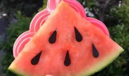 拉萨网红吃瓜,揭秘当地美食背后的故事