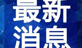 金吉鸟最新爆料图片视频,独家图片视频揭秘幕后真相