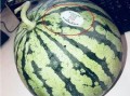 拉萨网红吃瓜,揭秘当地美食背后的故事