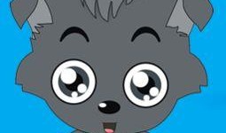 何小灰灰最新爆料,揭秘娱乐圈惊人内幕