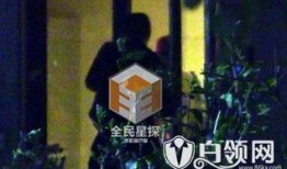 娱乐爆料金世佳,揭秘明星幕后故事