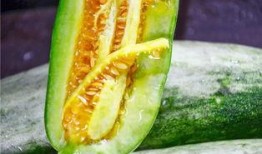 拉萨网红吃瓜,揭秘当地美食背后的故事