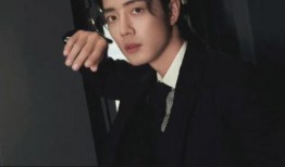 刘大锤爆料张翰视频大全,张翰视频大全背后的故事