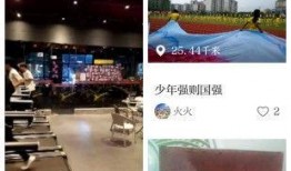江西爆料新闻视频大全播放,聚焦民生热点，揭示社会真相