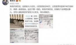 老表娱乐爆料微博叫什么,揭秘娱乐圈幕后真相