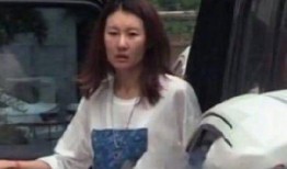 王宝强女友爆料视频播放,揭秘背后真相